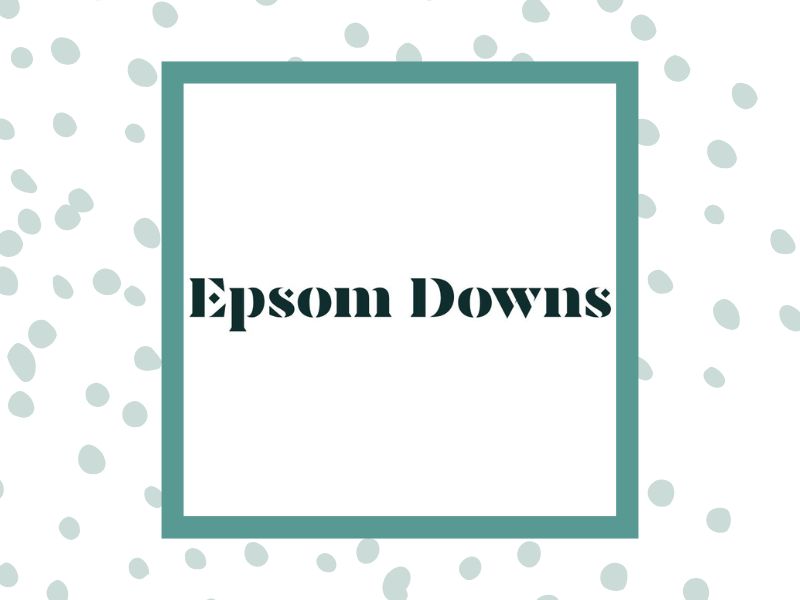 The Derby Family Festival at Epsom Downs Racecourse