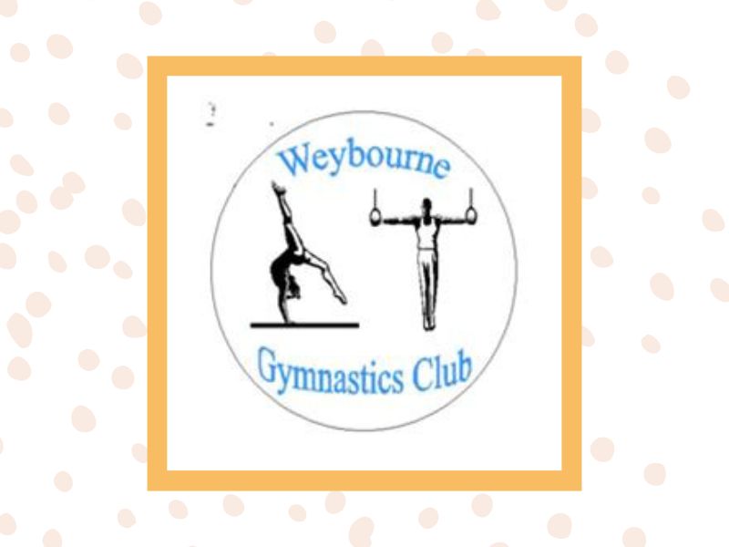Weybourne Gym - Stay and play Addlestone