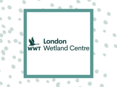 Lloyd of the Flies, Wetland Bug Hunt at WWT London Wetland Centre