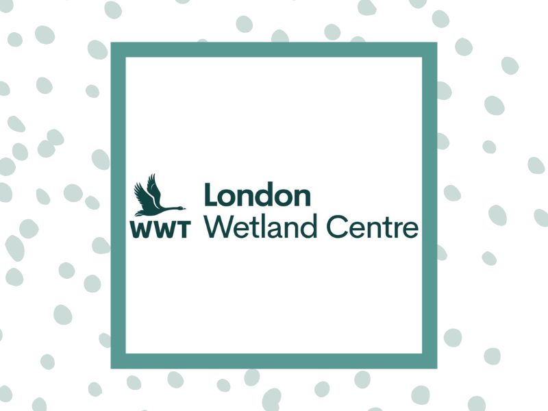 Lloyd of the Flies, Wetland Bug Hunt at WWT London Wetland Centre