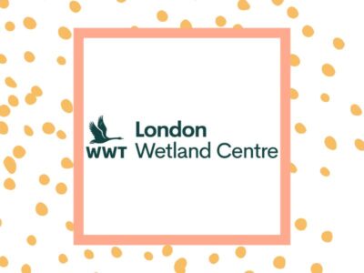 London Wetland Centre - SEND family day