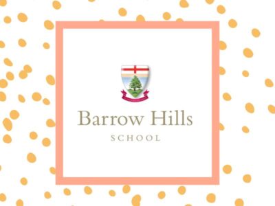 A Hive of Activity - An Immersive Family Activity Morning