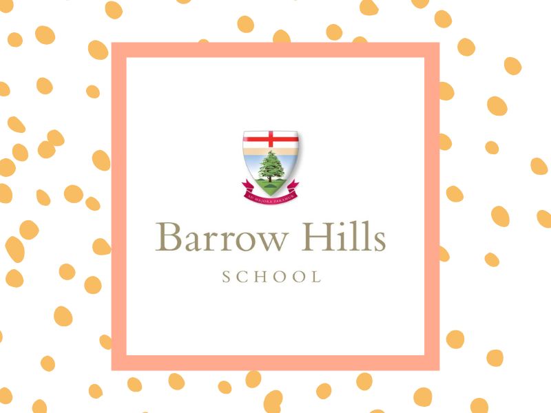 A Hive of Activity - An Immersive Family Activity Morning