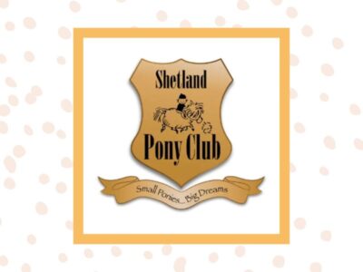 Shetland Pony Club - Own a Pony Experience Stoke D'Abernon