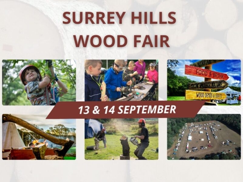 Surrey Hills Wood Fair