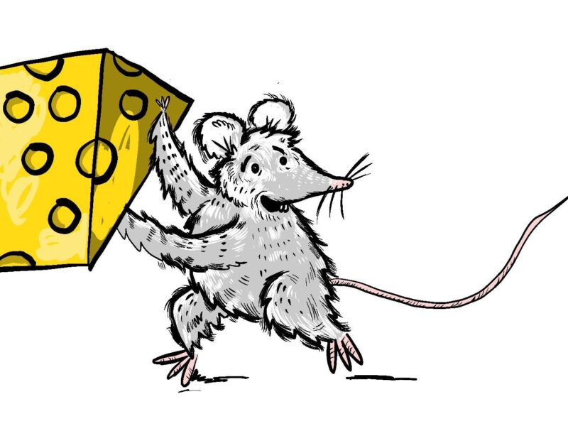 A Winter’s Tail Christmas Theatre at Norden Farm