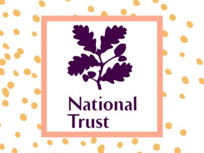 Quacky Races at Morden Hall Park