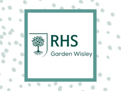 RHS Glow 2025 at Wisley Gardens
