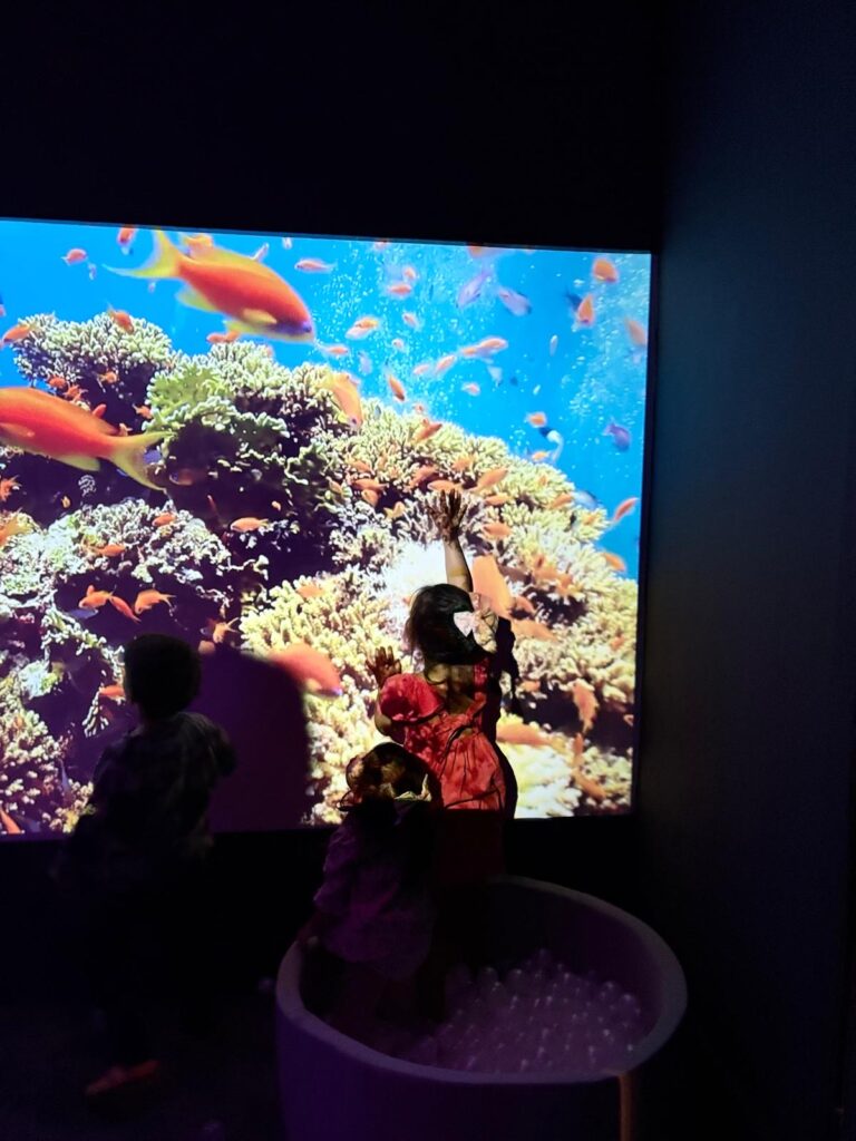The Little Borough Weybridge Sensory room