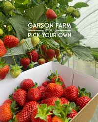 Garsons Pick Your Own Esher